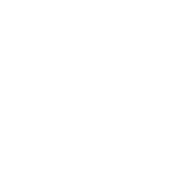 D'Ascenzi